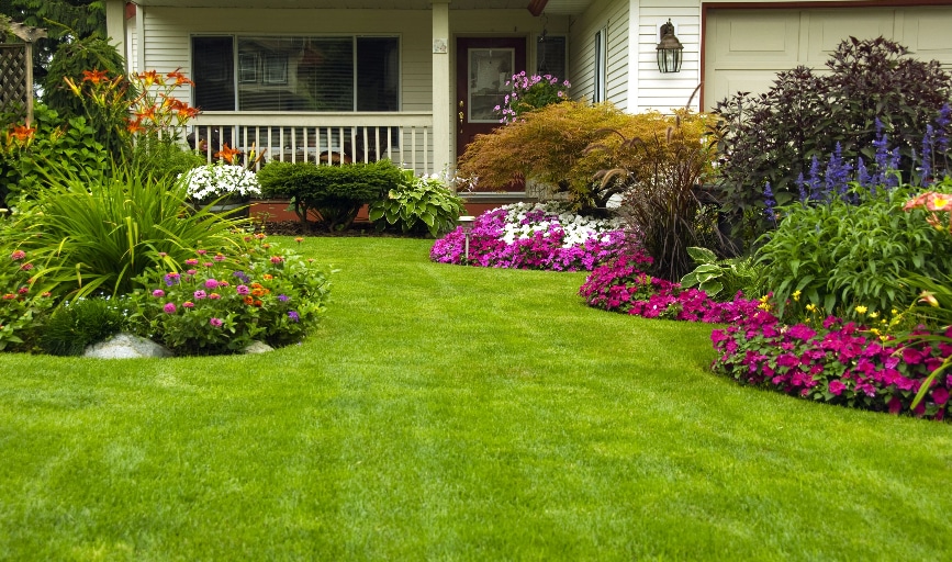 Landscape Design