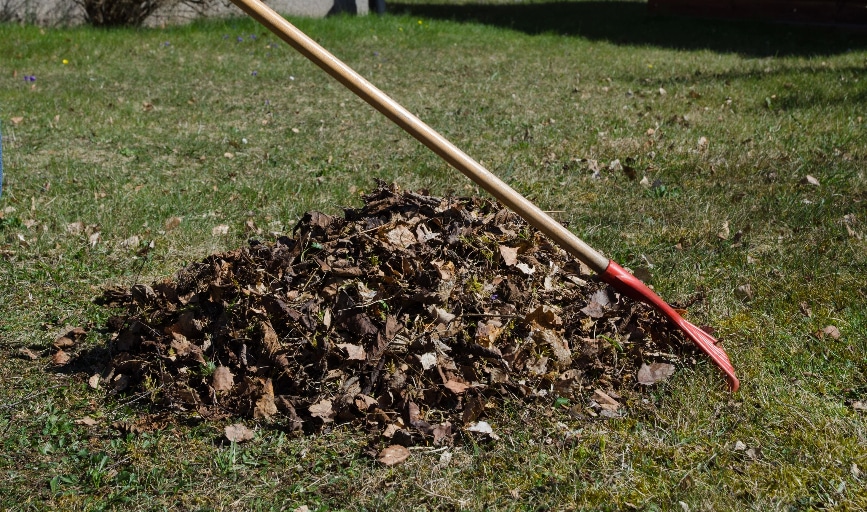 Spring Cleanup